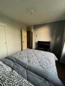 a bedroom with a large bed in a room at Alojamiento Habitación Casa Familiar Ñuñoa in Santiago