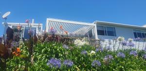 a garden with purple flowers in front of a house at Stanmore Bay Beach House in Whangaparaoa +47 photos