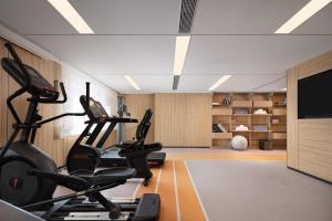 Fitness centrum a/nebo fitness zařízení v ubytování Home2 Suite by Hilton Harbin Central Street