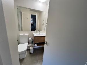 a bathroom with a toilet and a sink and a mirror at Pinto la torre in Valdivia