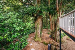 Zahrada ubytování Highlands Rainforest Sanctuary + 20 fotografií
