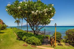 a tree on the beach with the ocean in the background at Kuleana Club #510 - Ocean View -1 bedroom & 1 bathroom - 2nd Floor in Kahana