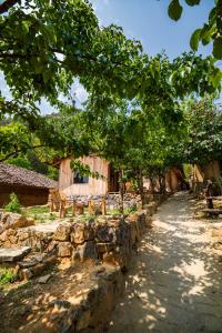 Vườn quanh Then Pa village