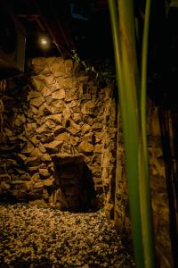 a stone wall with a plant in front of it at Kapten Nyoman House in Saba