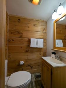 a bathroom with a wooden wall with a toilet and a sink at ER206 - Mountain Rendezvous Great location - Close to town! cabin in Pigeon Forge +10 photos