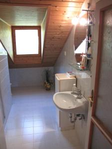 baño con lavabo y ventana en Schmidt apartment, en Balatonfenyves