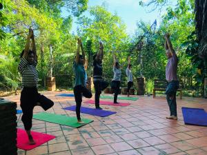 Επισκέπτες που μένουν στο La Vie Est Belle - Wellness, Yoga and Meditation +27 φωτογραφίες