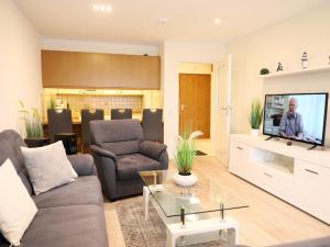 a living room with a couch and a tv at Das geräumige 2-Zimmer-Appartement in Westerland (Sylt)