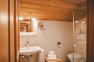 a bathroom with a sink and a toilet and a shower at Demeterhof Knolln in Söll
