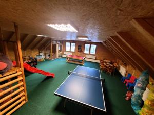 an overhead view of a play room with a ping pong table at Chata Pelikán in Loučná nad Desnou +58 photos
