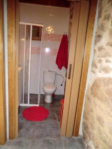 a bathroom with a toilet and a red rug at Cases Ruralmorella in Morella