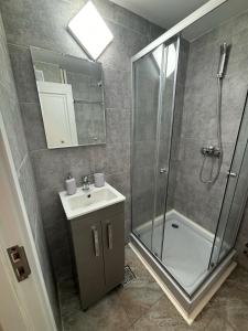 a bathroom with a shower and a sink and a glass shower stall at One Room Apartment Ptm 3 in Bucharest
