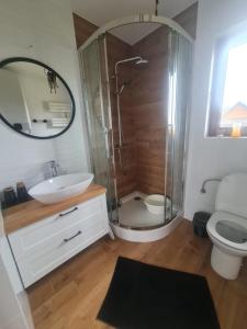 a bathroom with a shower and a sink and a toilet at Domek na Czerwonej Górce in Uście Gorlickie +70 photos