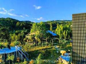 an overhead view of a garden with a building at İpekyolu dağ evleri in Mudurnu