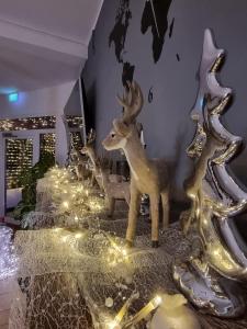 Fotografie z fotogalerie ubytování Hotel Kurhaus Uhlenberg v destinaci Bad Münstereifel