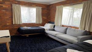 GuyraShiralee Motel Guyra的带沙发、床和窗户的客厅