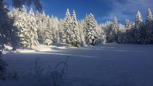 Gîte des lacs et cascades v zimě + 2 fotografie
