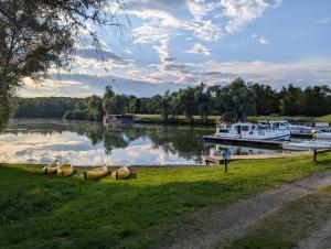 a group of boats are docked on a river at Domaine Saône-Valley in Traves +41 photos