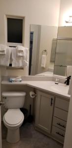 a bathroom with a toilet and a sink and a mirror at 038 Dine & Unwind Tiny Home near Grand Canyon South Rim in Valle +2 photos