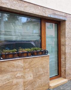 Fotografie z fotogalerie ubytování Leaf apartment v destinaci Blagoevgrad