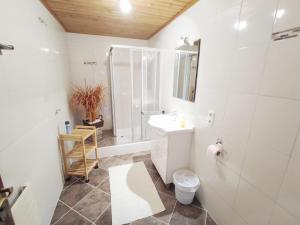 a bathroom with a toilet and a sink and a shower at Chalet in Hippach near Ski Paradise in Hippach