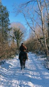 a person riding a horse down a snow covered trail at Chalet David Hockney in Saint-Germain-dʼAunay