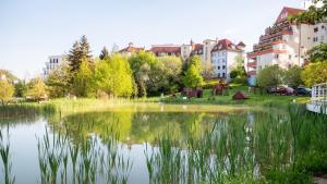 a large pond in a city with buildings at ALURE RESIDENCES 3 & 24h self check-in, parking in the garage in the apartment building included, new building, terrace, green location with a forest park with a lake, children's playground in Banská Bystrica