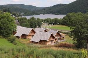 a group of log homes on a hill with a lake at Chalet de Fougerousse in Chambon-sur-Lac