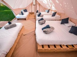 Sainte-Gemme-sur-LoireLodg'ing Nature Camp Anjou的帐篷内的两张单人床 更多17张照片