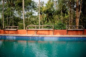 two benches sitting next to a pool of water at Beehive staycations in Ambalavayal