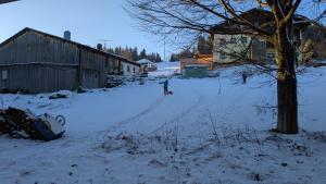 Apartmán Almberg - Mitterdorf - Mitterfirmiansrout v zimě