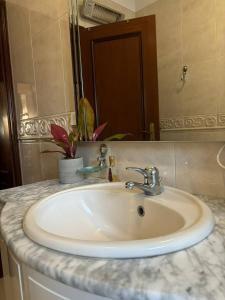 a bathroom counter with a sink and a mirror at O Cantinho do Pedro in Tolosa