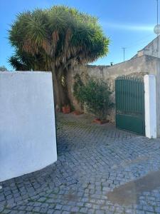 a gate in a stone wall with a palm tree at O Cantinho do Pedro in Tolosa
