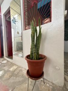Fotografie z fotogalerie ubytování Casa Cisalta N2 - 5mn Centro City v destinaci Praia