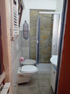 une salle de bain avec toilettes, douche et lavabo dans l'établissement La depandance, à Castel di Sangro