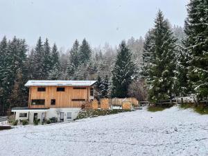 Waldblick - Neubau - Self-Check-In - kein Verkehr - am Wald - Parkplätze vor Tür - apartment or double room v zimě