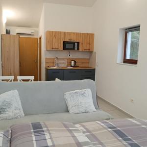 a living room with a couch and a kitchen at Studio Vesna & Žan in Koper