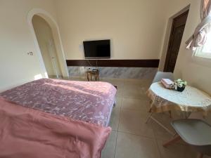 TV a/nebo společenská místnost v ubytování Alhosani property