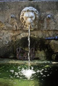 Ein Springbrunnen mit einem Löwenkopf. in der Unterkunft Maison Sule in Malaucène