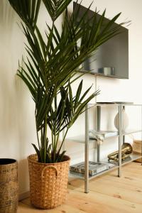 una planta en una cesta en un piso junto a un estante en Modern Design 75sq Apartment in Berlin Mitte, en Berlín