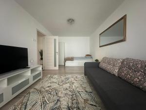 a living room with a couch and a flat screen tv at Apartament 2 Cam Cetate in Alba Iulia