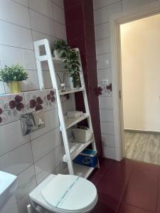 a bathroom with a white toilet and a shelf at Apartament 2 Cam Cetate in Alba Iulia