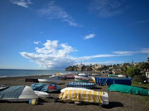 Naturlandskabet i nærheden af lejligheden