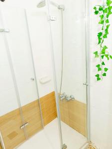 una doccia con una porta in vetro in un bagno di APARTAMENTO COMPLETO con PATIO y TERRAZA - EL CARPIO CENTRO - CORDOBA - WiFi a El Carpio