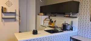 a kitchen with a counter with a sink and a refrigerator at Le Porteur de Glace Classé 2 étoiles in Aulus-les-Bains +7 photos