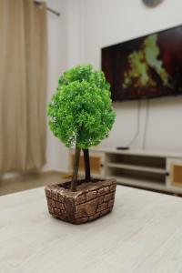 TV a/nebo společenská místnost v ubytování Luxury 1BHK Apartment In Bahria Town + 9 fotografií