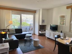 a living room with a couch and a tv at Al Lido by Fewotessin in Locarno