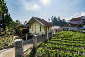 a farm with a yellow house and a field of plants at Villa Kayu Ciwidey in Panundaan
