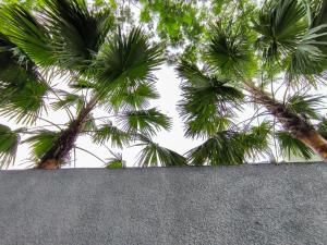 Φωτογραφία από το άλμπουμ του Americana Villa Private Pool σε Ngaglik