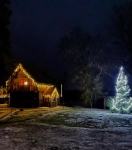 a christmas tree in front of a house at night at Brīvdienu māja Straumēni in Pāle